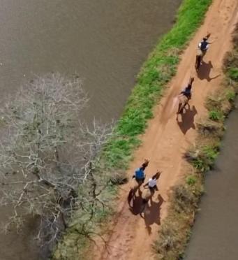 Fazenda Boa Esperanca Ξενοδοχείο Florestal Εξωτερικό φωτογραφία