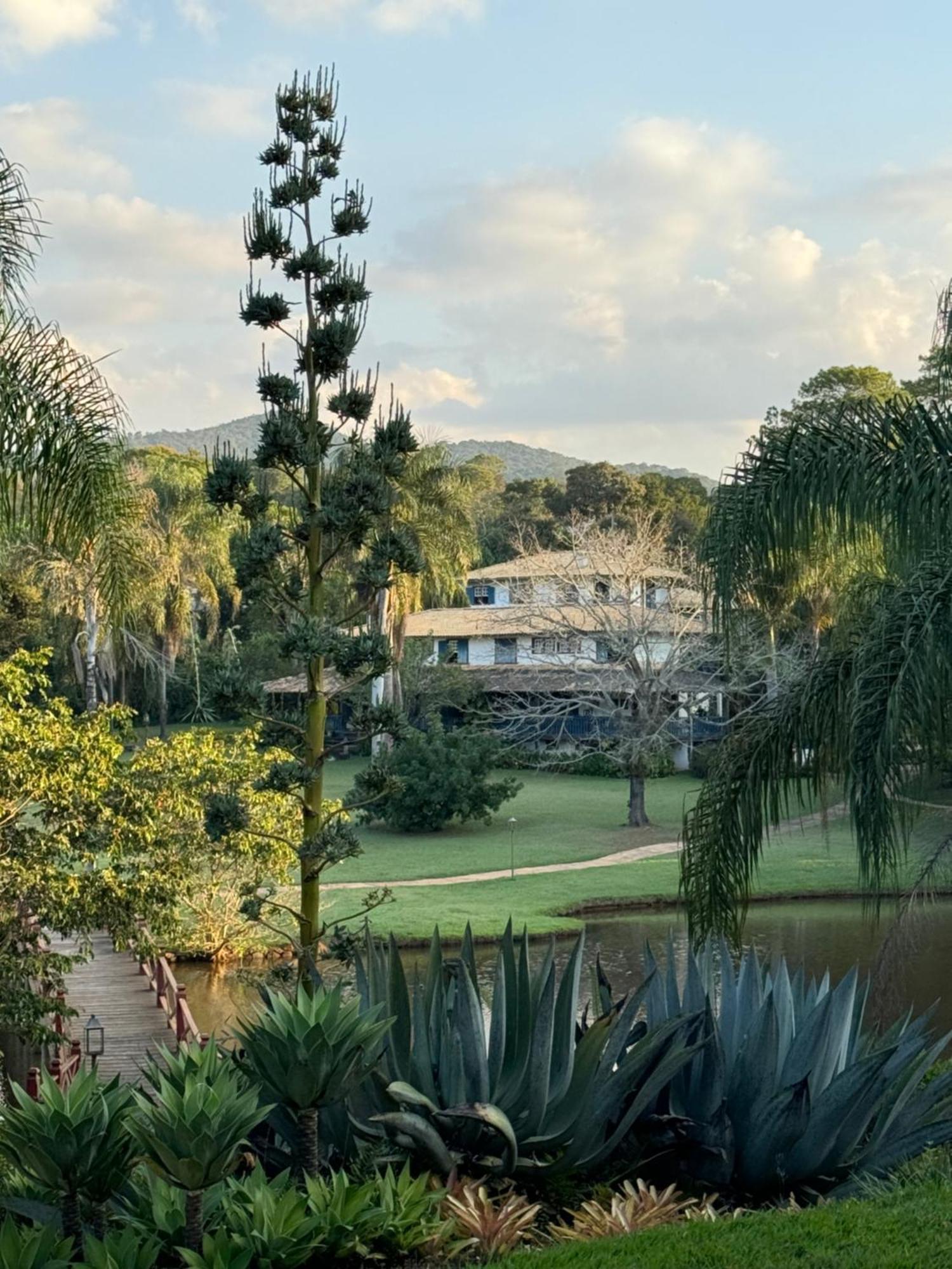 Fazenda Boa Esperanca Ξενοδοχείο Florestal Εξωτερικό φωτογραφία